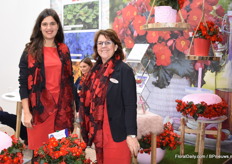 Again Sally, here together with Ann Jennen